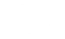 Chilebots